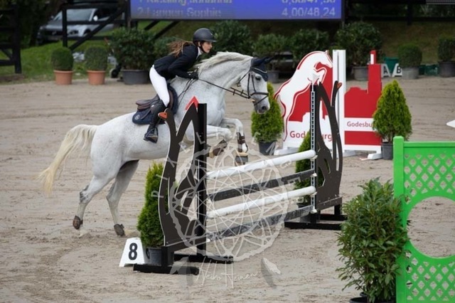 2B4A1452 | pixelfaenger - Realisiert mit Pictrs.com