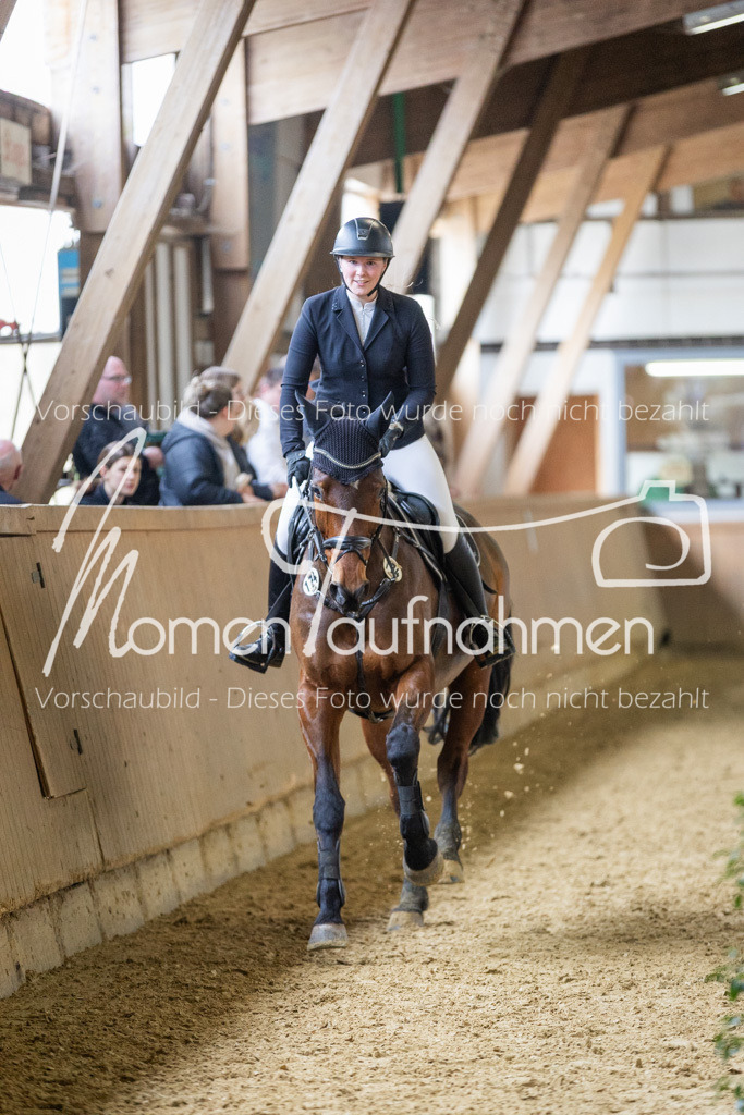 Sth-LPO25-L-Stil-061 | MomenTaufnahmen Pferdesportfotos