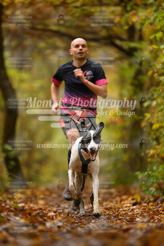 MompixPhotography_CD7S_DI_CCL-27 | mompixphotography