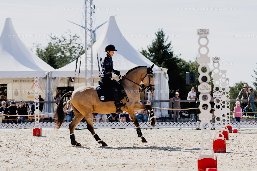 Diana11_FHC2025-09042 | working equitationturnier fotograf videograf stoibphotography marixx film working equitation deutschland reitsport turnierfotografie eventfotografie equestrian events