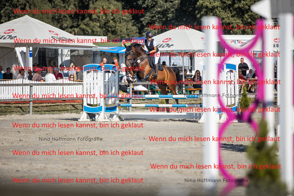 BK1A7429 | Turnierbilder Turnierfotos Nina Hüffmann Turnierfotografie Pferdefotografie Tierzeichnung Haustierzeichnung Pferdezeichnung Hundezeichnung Videograf  - Realisiert mit Pictrs.com