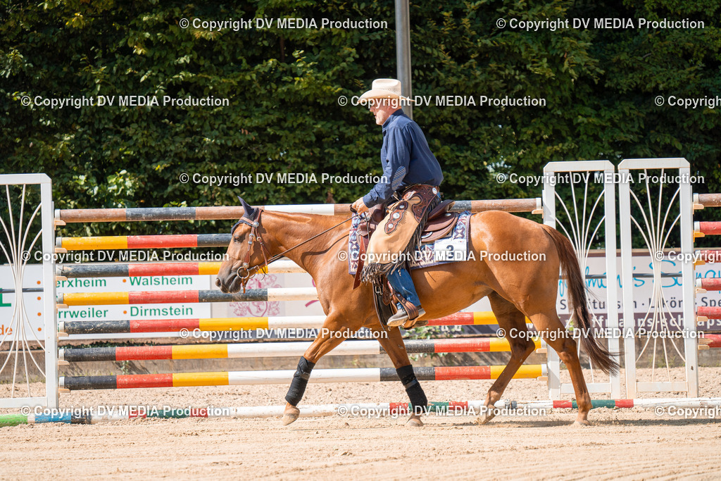 ZH100671 | dv-media-shop - Realisiert mit Pictrs.com