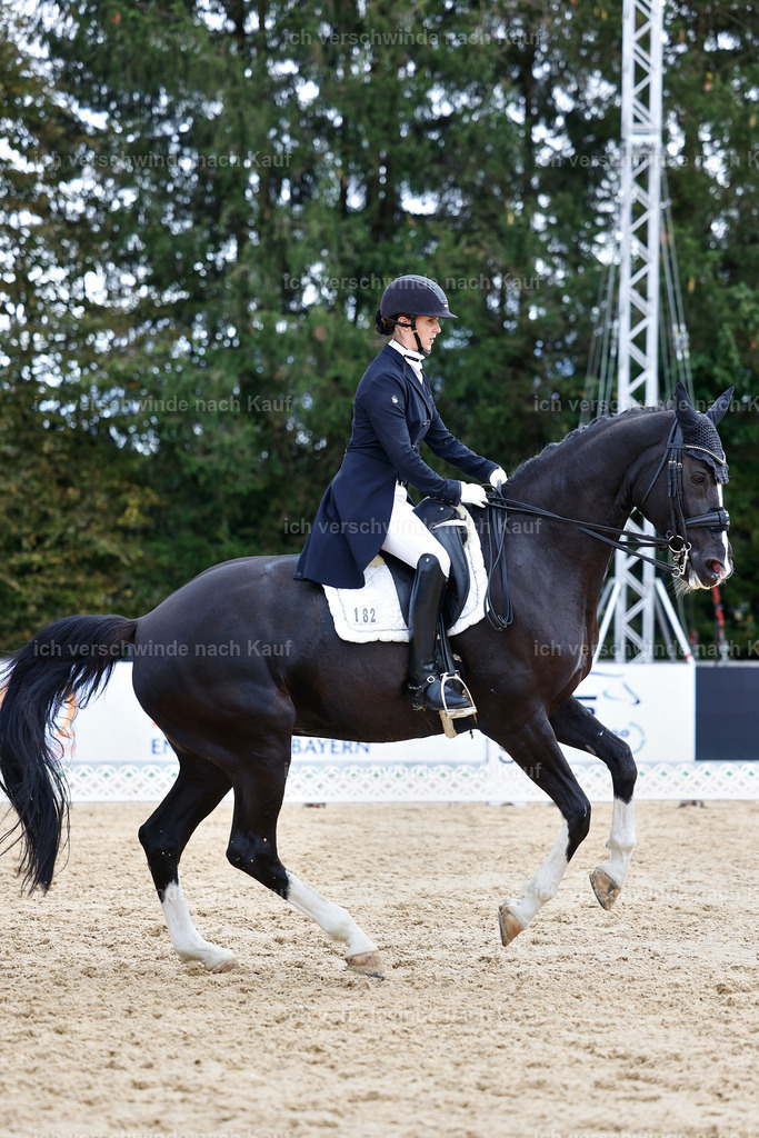 6-182-AMATUER-DRESSUR S_  -StoibPH-3503 | working equitationturnier fotograf videograf stoibphotography marixx film working equitation deutschland reitsport turnierfotografie eventfotografie equestrian events