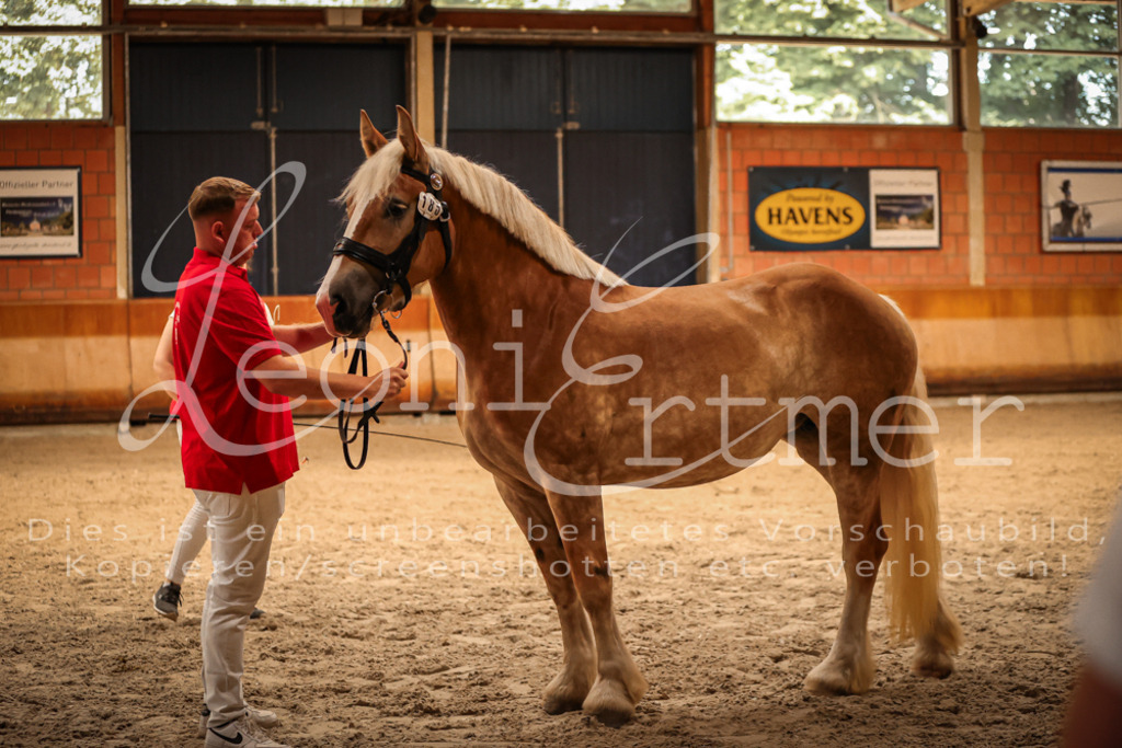 SaFL00121 | Leoni Ertmer Photography - Realisiert mit Pictrs.com