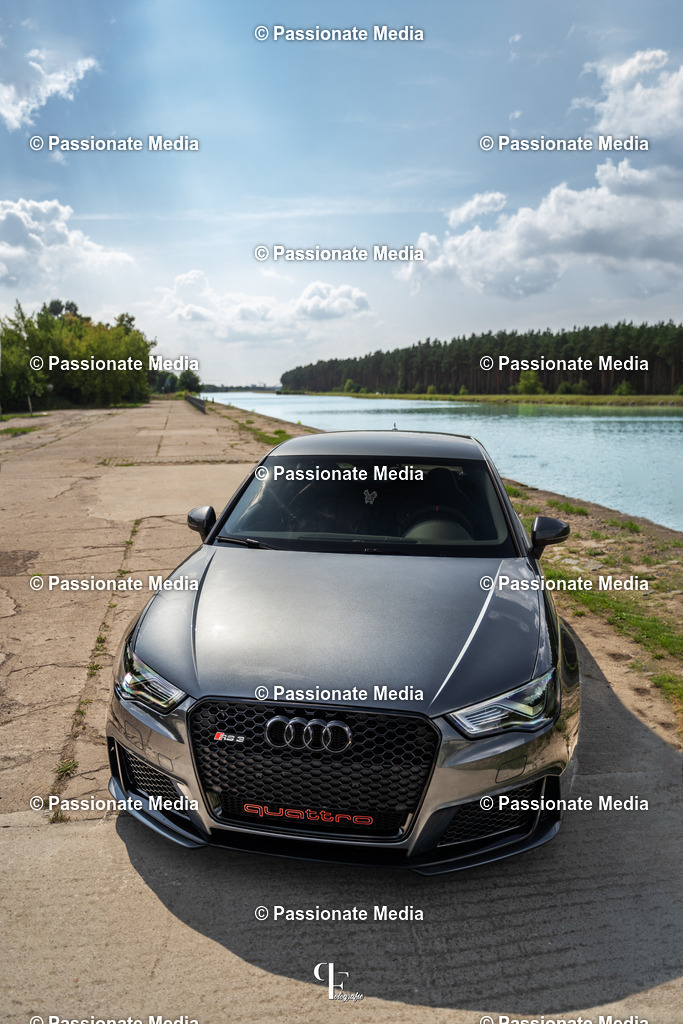 _DSC4484 | Passionate Media, dein Fotograf aus Brandenburg, Märkisch Oderland, im Bereich Motorsport, Autos und Motorräder sowie Events und auch Hunde. Shootings oder auch Eventbegleitungen können bei mir gebucht we