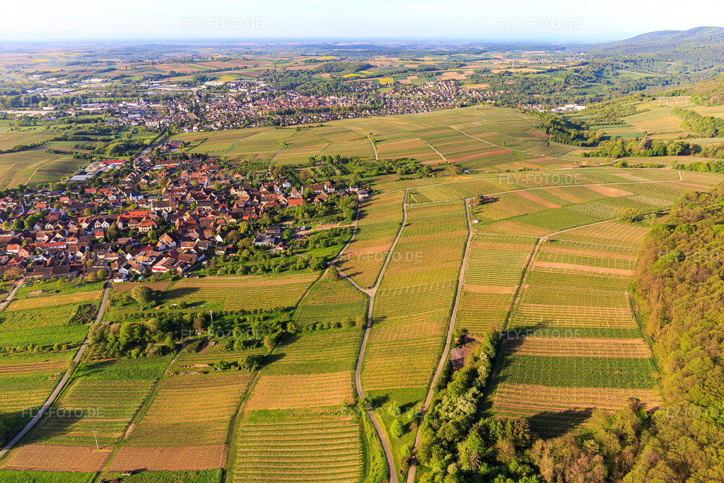 Luftbild: Weinlage Sonnenberg zum Teil auf französischem Gebiet im Ortsteil Schweigen in Schweigen-Rechtenbach im Bundesland Rheinland-Pfalz in Deutschland. Foto: IMG_107006.jpg vom 27.04.2018 durch Werner Riehm/FLY-FOTO.de