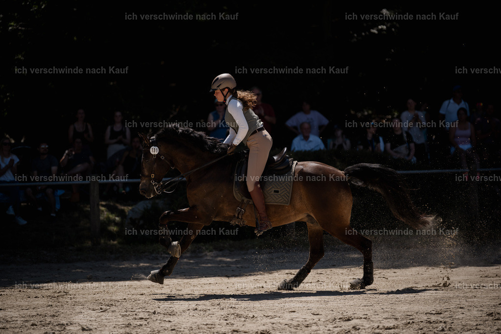 WM_SP_131_Stoibphotography_SO17935 | working equitationturnier fotograf videograf stoibphotography marixx film working equitation deutschland reitsport turnierfotografie eventfotografie equestrian events