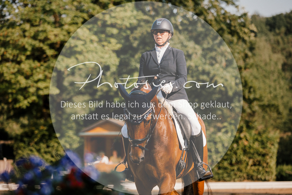 3I6A8632 | Stimmungsvolle Portraits und Reitsportfotografie im Ruhrgebiet und im Münsterland.

Pferdefotografie, Hundefotografie, Tierfotografie, Reportagen, Portraits von Tier und Mensch, Turnierfotografie in Bochum, Recklinghausen, Marl, Haltern am See, Dülmen.. - Realisiert mit Pictrs.com