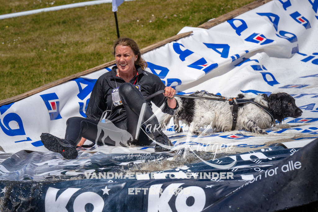 _ZZ990471049 | kk-dogfotos