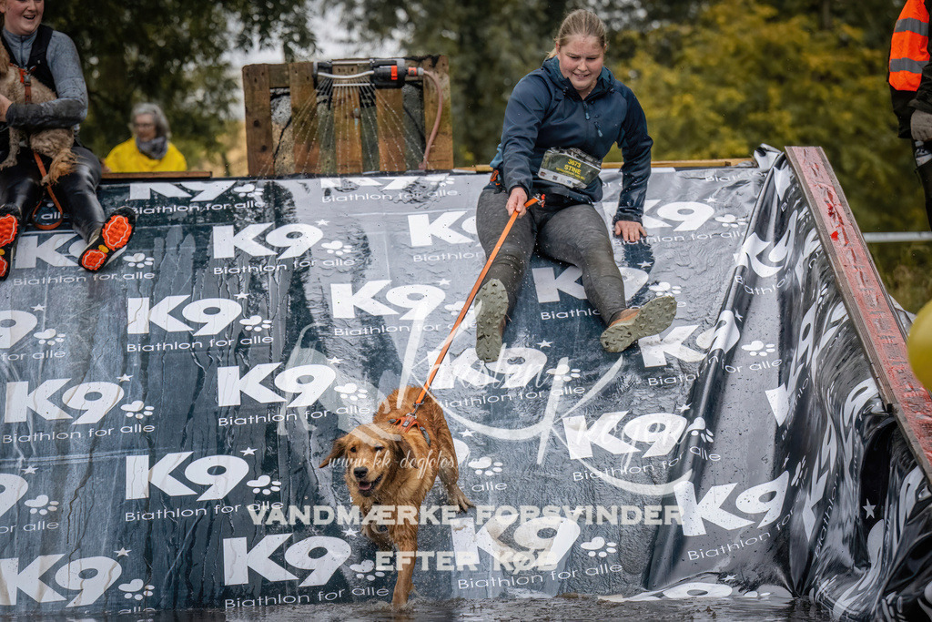 1230_ZZ90058 | kk-dogfotos