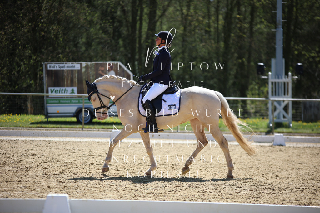 IMGT1332 | pl-fotografie