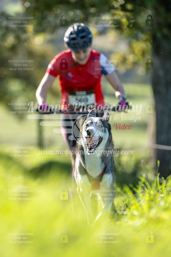 MompixPhotography_20TSB_E3_DS1-42 | PayLife