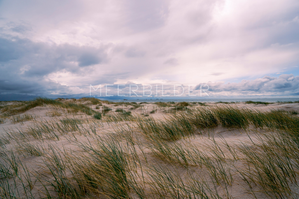 Nordsee Bild // Dünenblick | Gestalten Sie Ihr Zuhause mit einzigartigen Bildern von Ostsee u. Nordsee – als Leinwandbild, Acryl, Alu-Dibond oder FineArt Hahnemühle, individuell anpassbar.