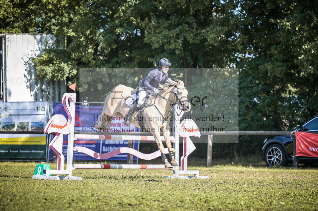 DOS_1698 | Entdecke hochwertige Reitturnierfotos von Foto Oger. Professionell, emotional und authentisch – jetzt Lieblingsmomente im Shop bestellen.Deutschlandweite Turnierfotografie. - Realisiert mit Pictrs.com