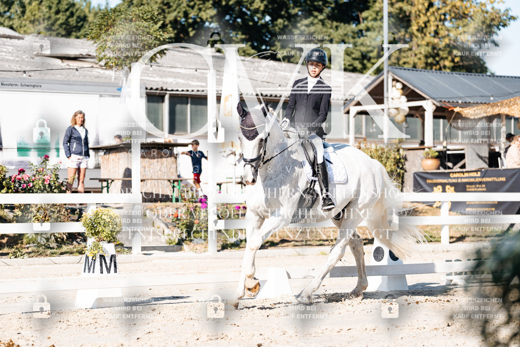 CK907561 | Turnierfotografie Pferdefotografie Trier Rheinland-Pfalz Pferdesport Reitsport Tierfotografie Sportfotografie Pferdevideo Pferdevideografie Equestrianvideography equestrianphotography  - Realisiert mit Pictrs.com