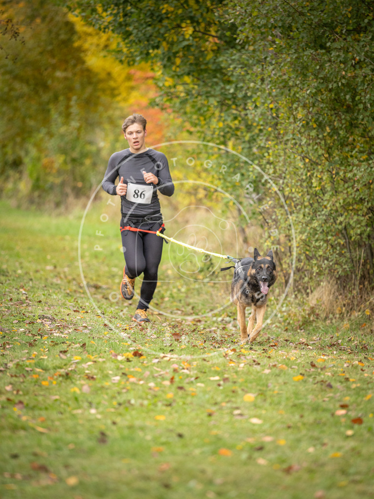 Pfotenfotografie_DV3A3154 | Hundefotografie, Tierfotograf, Pfotenfotografie, Fotoshooting Hund, Hunde Portrait, Hundesport, Hundeportraits, Heideshooting, Hunde, Sportfotograf, Hundefotograf, Turnierhundsport, THS,  - Realisiert mit Pictrs.com