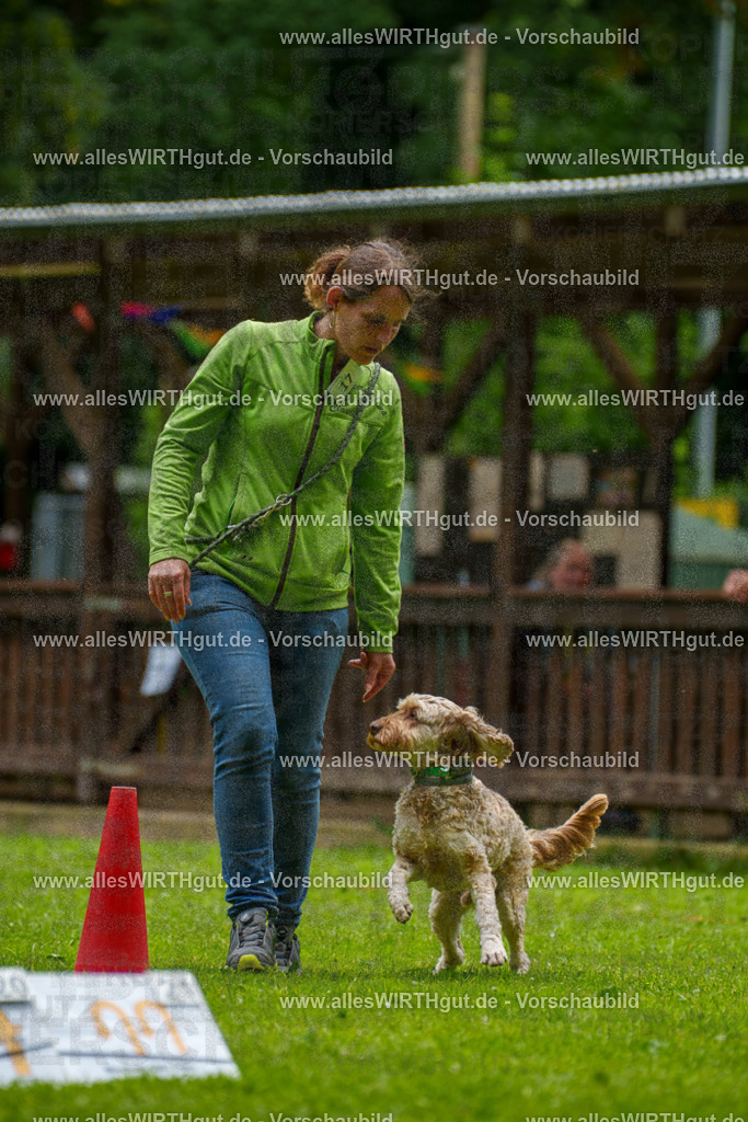 @allesWIRTHgut_Tierfotografie - www.allesWIRTHgut.de - 092307-7R507014 | Professionelle Tierfotografie in Mönchengladbach von Daniel Wirth (allesWIRTHgut). Liebevolle & natürliche Bilder von Hunden & Katzen für unvergessliche Erinnerungen.