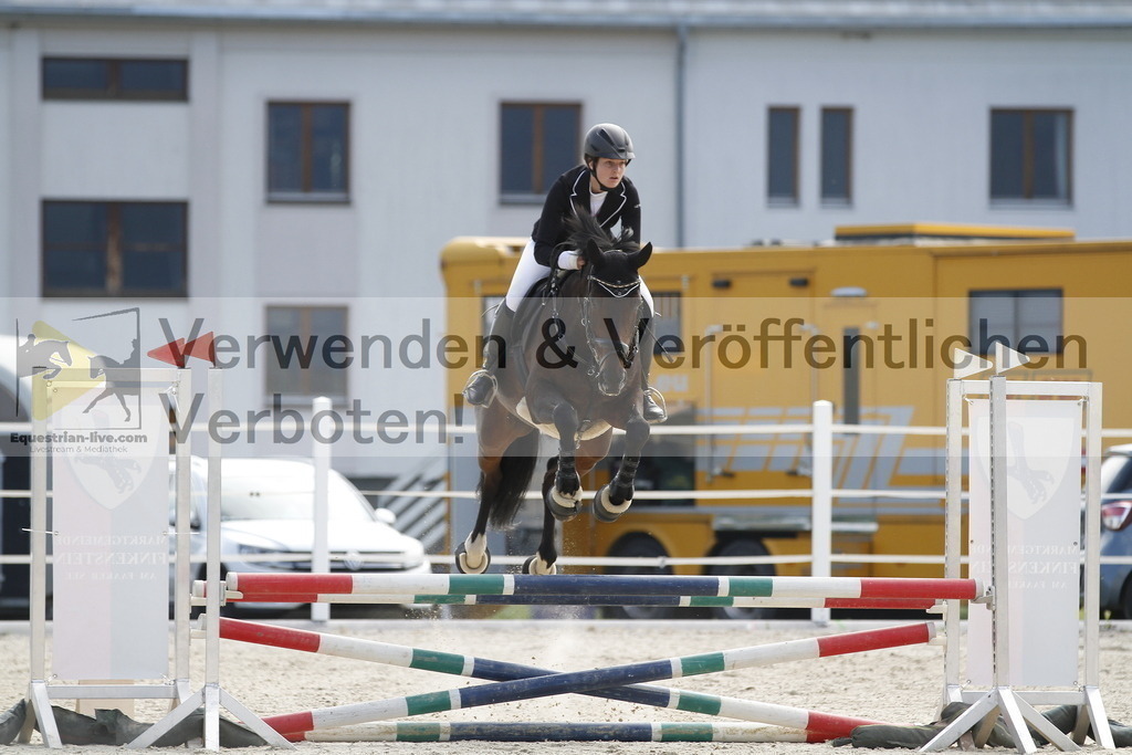 _MG_3372 | equestrian-live-com