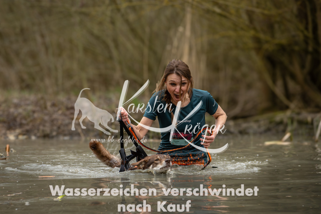 1246_ZZ90669 | kk-dogfotos