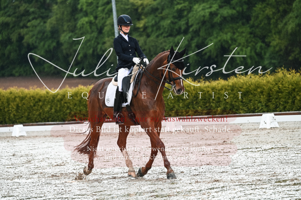 DSC_4227 | Pferde- und Turnierfotografie in Westsachsen. Pferdeportraits, Auftragszeichnungen und intuitive Kunst.