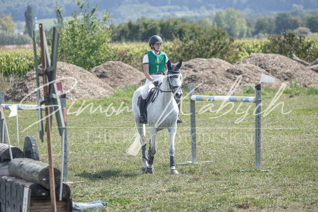 20250907-_3LR7894 | Tierfotografie Pferde, Hunde, Katzen, Haustiere.
Turnierfotografie Reitturniere, Reiten, Springreiten, Dressur in Hanau, dem Main-Kinzig-Kreis und dem Rhein-Main- Gebiet um Frankfurt