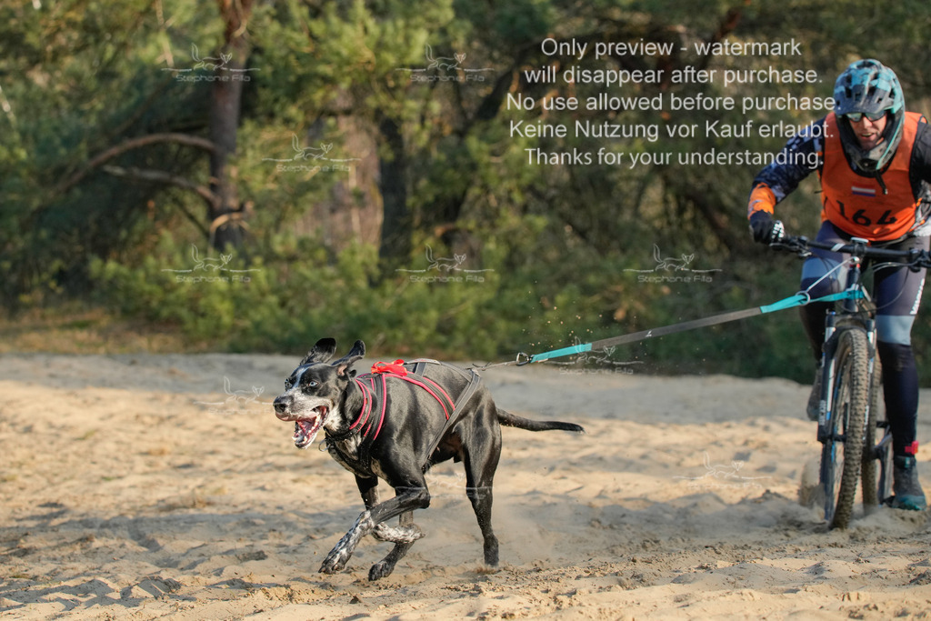 So_2_Bike-51 | stephaniefillaphotographie - Realisiert mit Pictrs.com