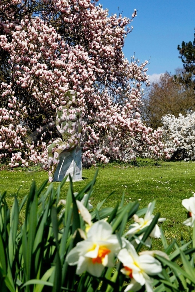 NatureArt-MAGNOLIEN_8369 | Der Frühling sitzt vor der Magnolie | #016 | Modell: Daniela | Foto: Tschiponnique Skupin - Realisiert mit Pictrs.com