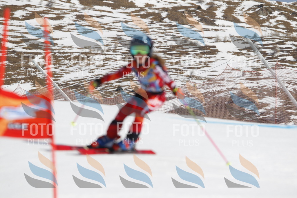 _U3G0396 | holidayphoto