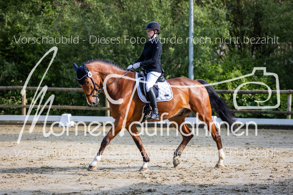 Donop24-A-Dre-039 | MomenTaufnahmen Pferdesportfotos