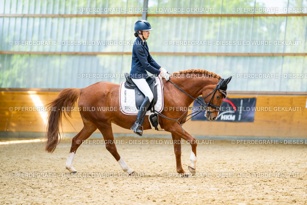 DSC08845 | Pferdegrafie