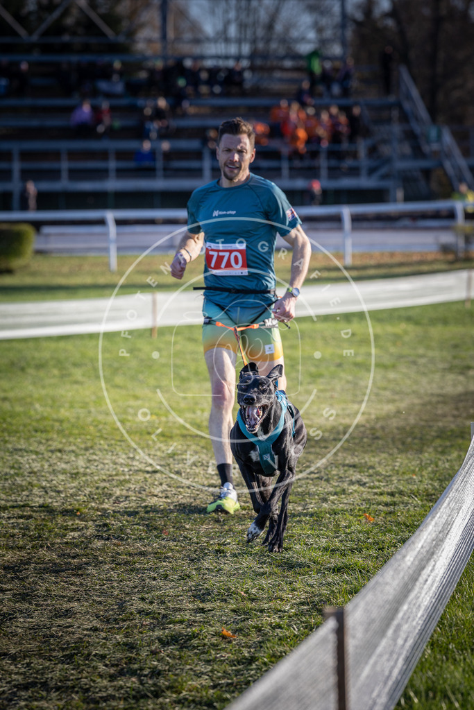 CaniXpix_DV3A2664 | Hundefotografie, Tierfotograf, Pfotenfotografie, Fotoshooting Hund, Hunde Portrait, Hundesport, Hundeportraits, Heideshooting, Hunde, Sportfotograf, Hundefotograf, Turnierhundsport, THS,  - Realisiert mit Pictrs.com