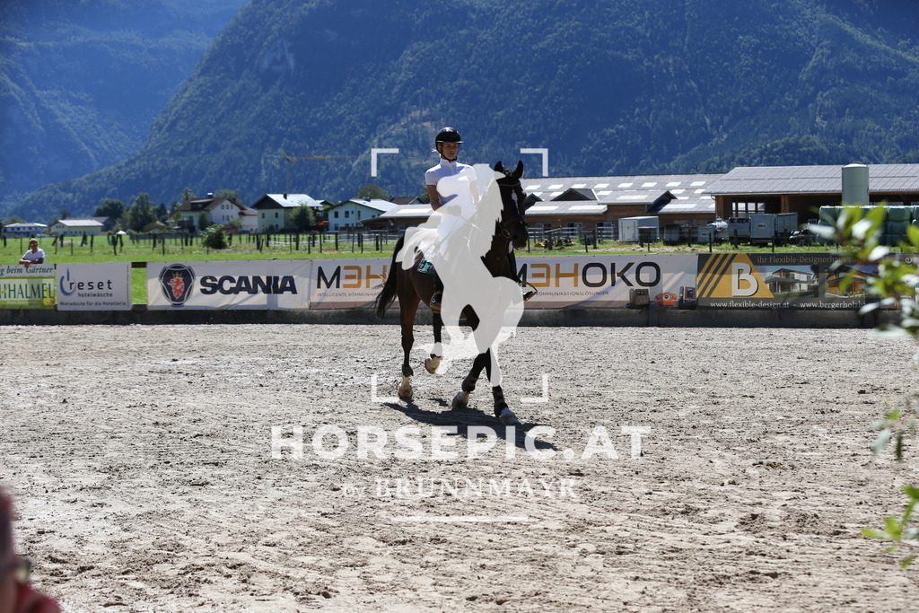 DL2Q0642 | Willkommen bei Brunnmayr - Design & Fotografie – Ihrem Spezialisten für Reitturniere und Pferdeveranstaltungen in Oberösterreich, Salzburg und Bayern! Seit über 17 Jahren sind wir leidenschaftlich dabei.