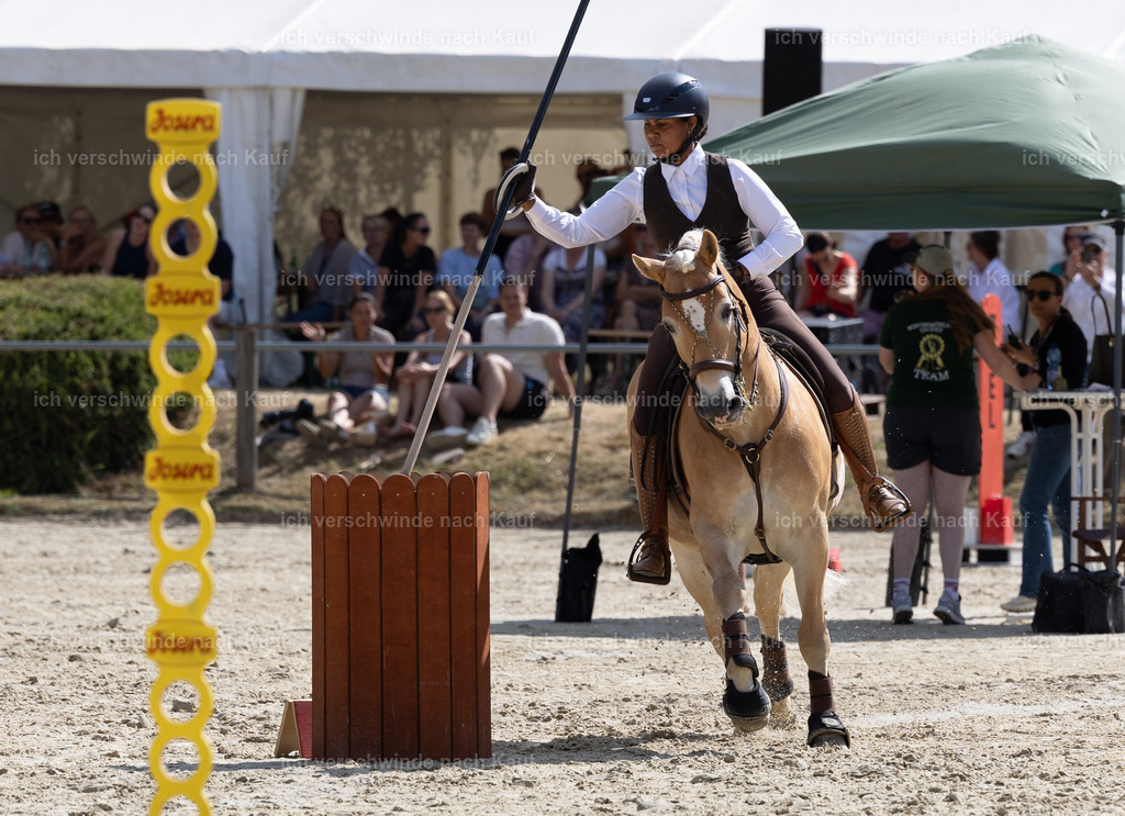 WS_SPEED_1_KerstinBernhardt-6 | working equitationturnier fotograf videograf stoibphotography marixx film working equitation deutschland reitsport turnierfotografie eventfotografie equestrian events