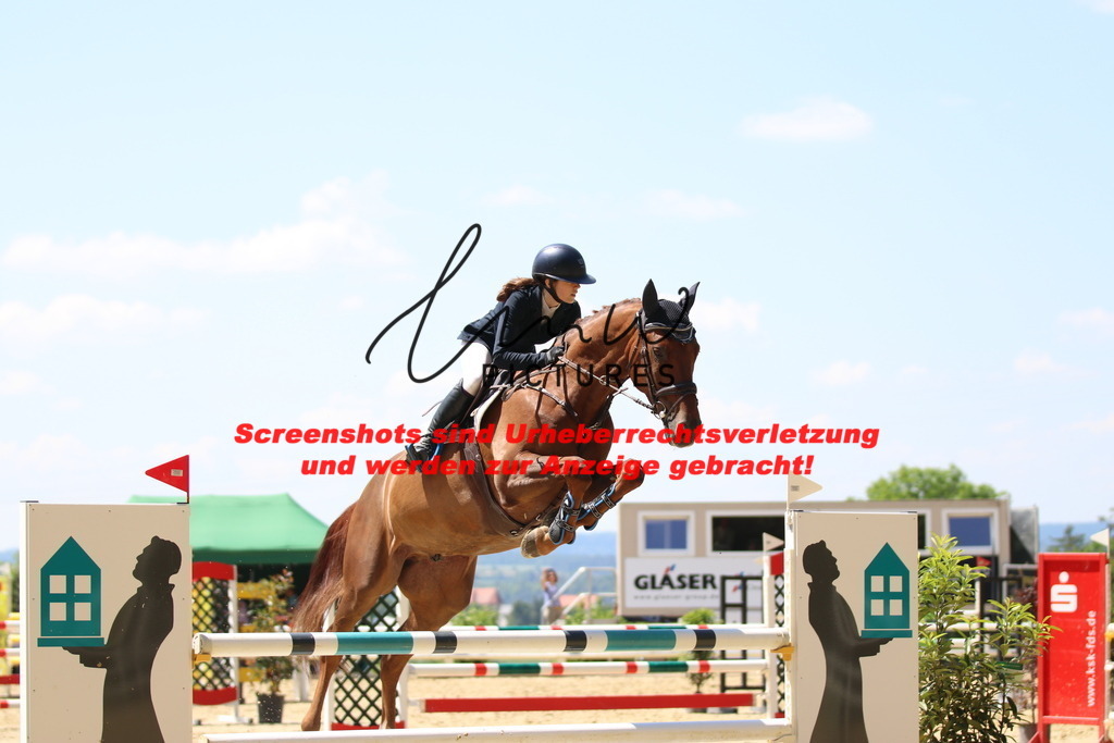 IMG_2563 | lmwpictures - Realisiert mit Pictrs.com