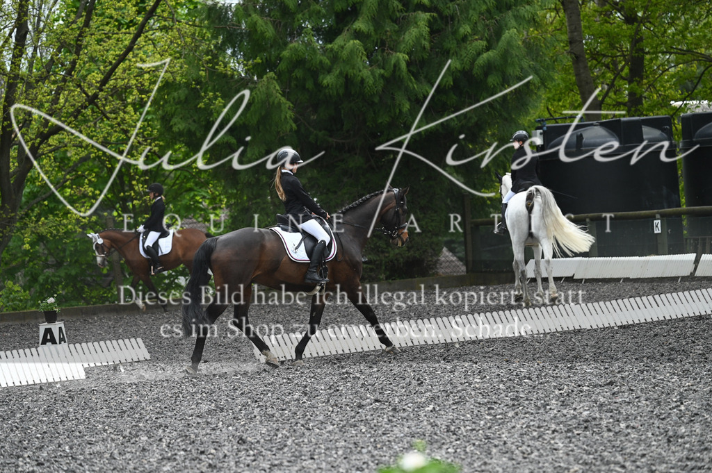 20230512_JK-Röhrsdorf-07-267 | Pferde- und Turnierfotografie in Westsachsen. Pferdeportraits, Auftragszeichnungen und intuitive Kunst.