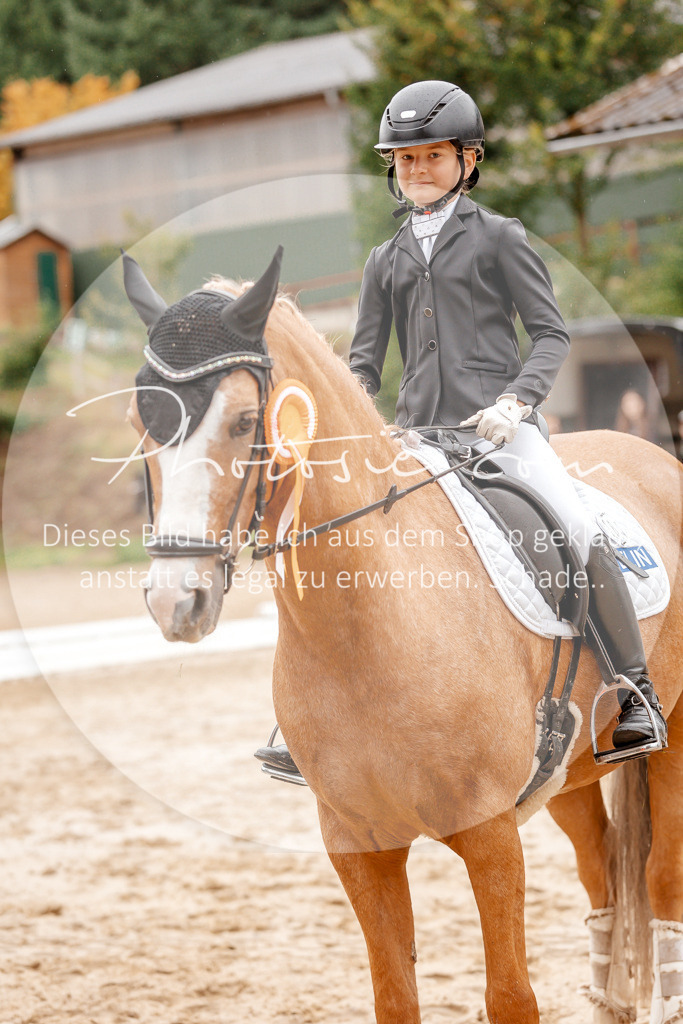 3I6A6005 | Stimmungsvolle Portraits und Reitsportfotografie im Ruhrgebiet und im Münsterland.

Pferdefotografie, Hundefotografie, Tierfotografie, Reportagen, Portraits von Tier und Mensch, Turnierfotografie in Bochum, Recklinghausen, Marl, Haltern am See, Dülmen.. - Realisiert mit Pictrs.com
