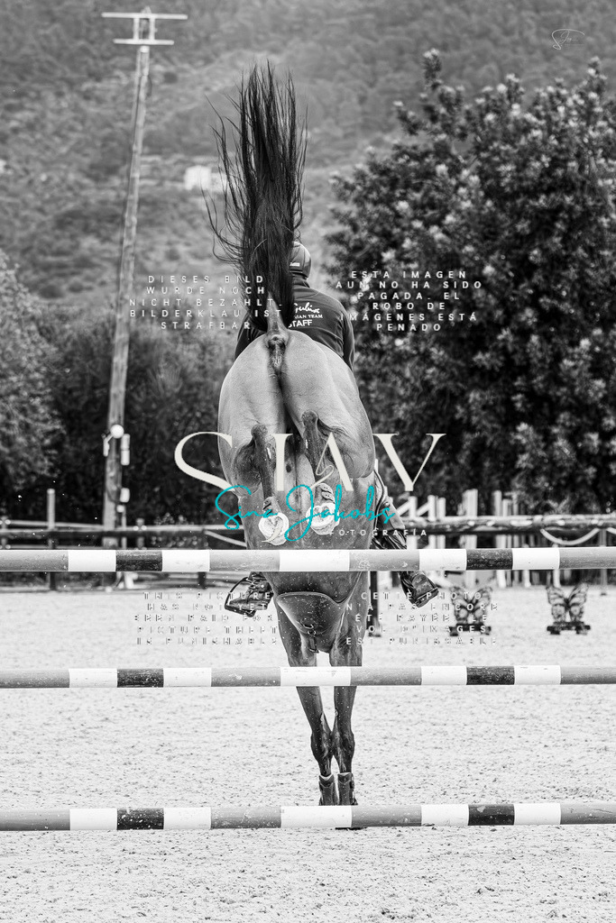 IMG_5287-Verbessert-RR | s-jay-photography - Realisiert mit Pictrs.com