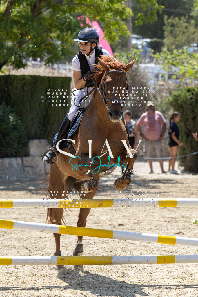 IMG_0910 | s-jay-photography - Realisiert mit Pictrs.com