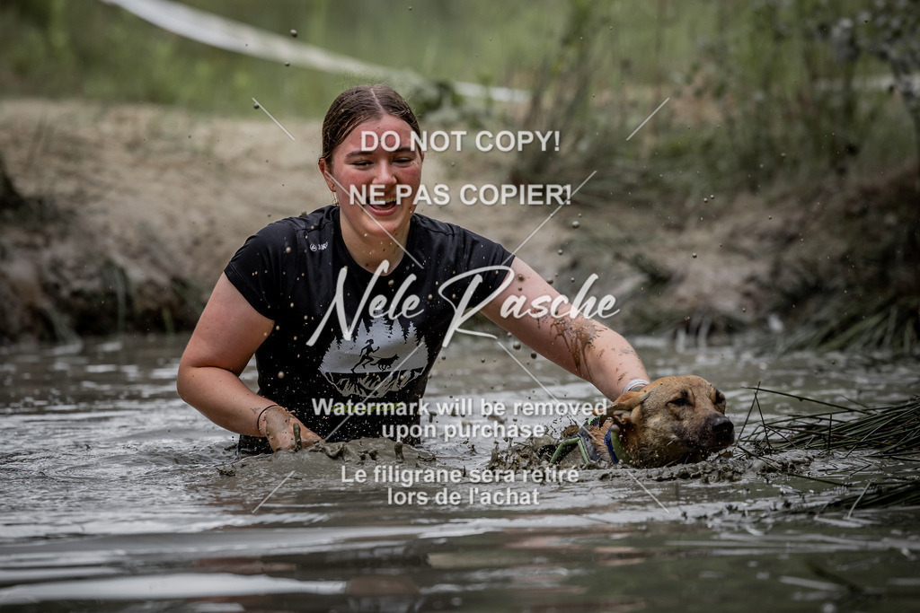 nelerasche_so0800-0930_514 | nelerasche