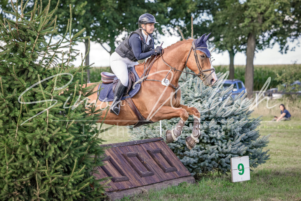 20250906-_3LI7420 | Tierfotografie Pferde, Hunde, Katzen, Haustiere.
Turnierfotografie Reitturniere, Reiten, Springreiten, Dressur in Hanau, dem Main-Kinzig-Kreis und dem Rhein-Main- Gebiet um Frankfurt