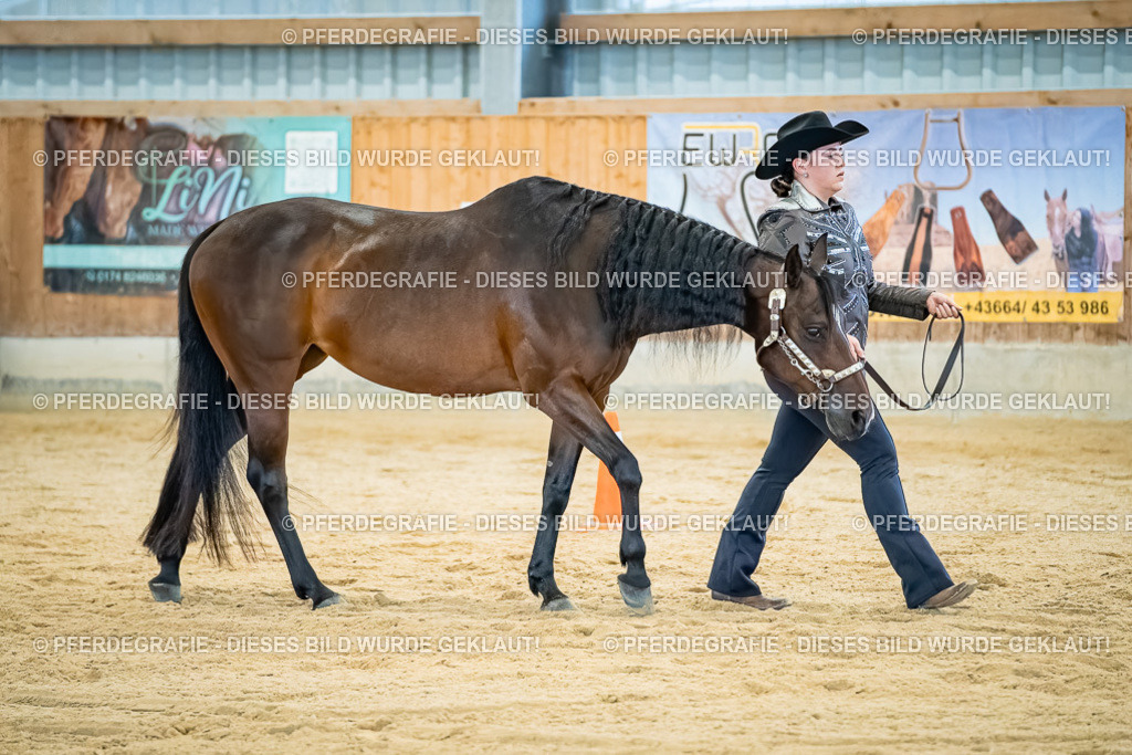 DSC09857 | Pferdegrafie