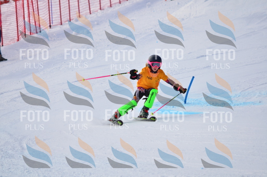 C7862 | holidayphoto