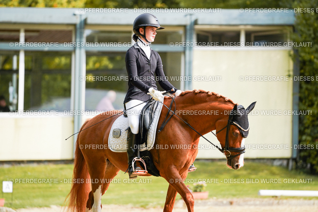 DSC03931 | Pferdegrafie