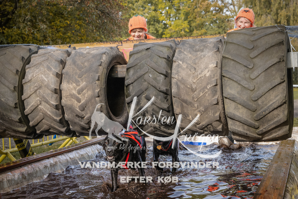 1422_ZZ94423 | kk-dogfotos