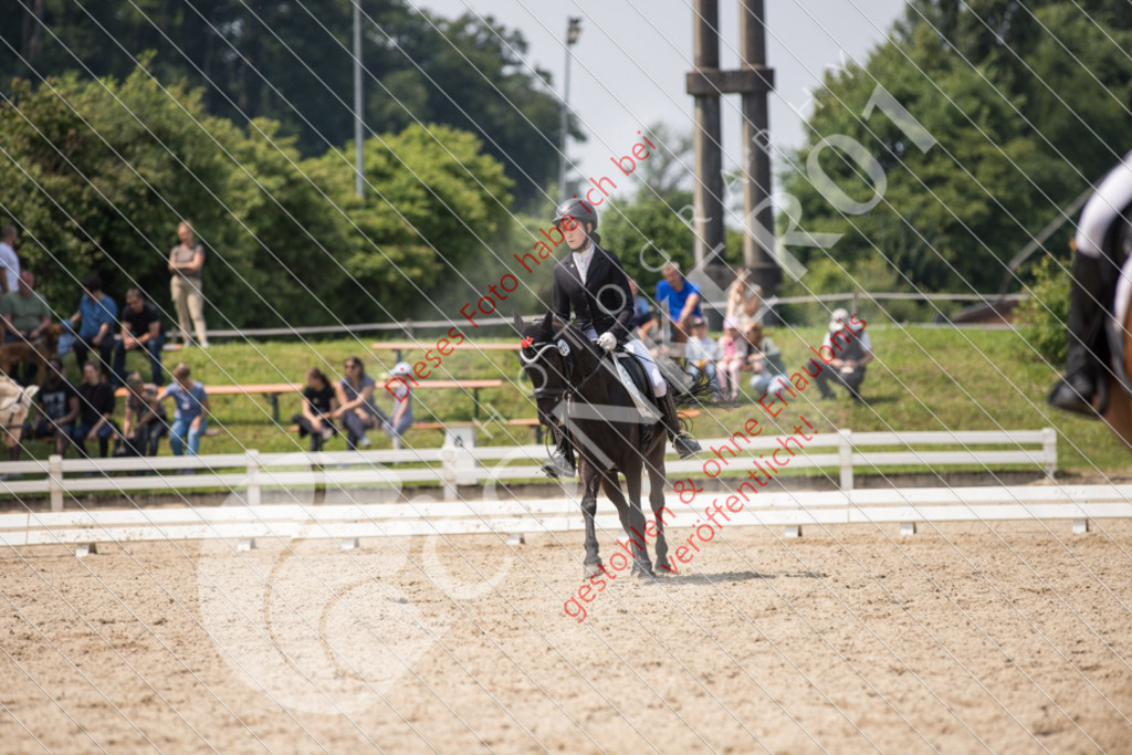 IMG_3664 | Sport-, Event- und Tierfotos in Profiqualität. Einfach auswählen, bestellen und herunterladen. Dein Moment – perfekt festgehalten.