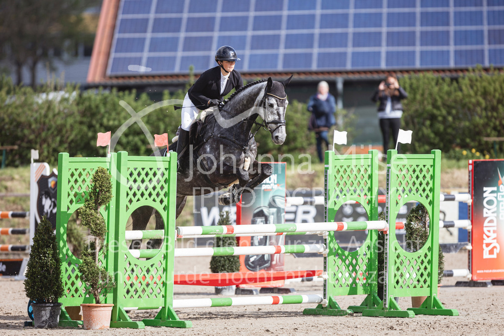 250419_Frühlingsfest_Springpf-L-352 | Deine schönsten Turniermomente als professionelle Fotos! Entdecke hochwertige Pferdesport-Fotografie im Online-Shop. Jetzt Fotos finden & bestellen!