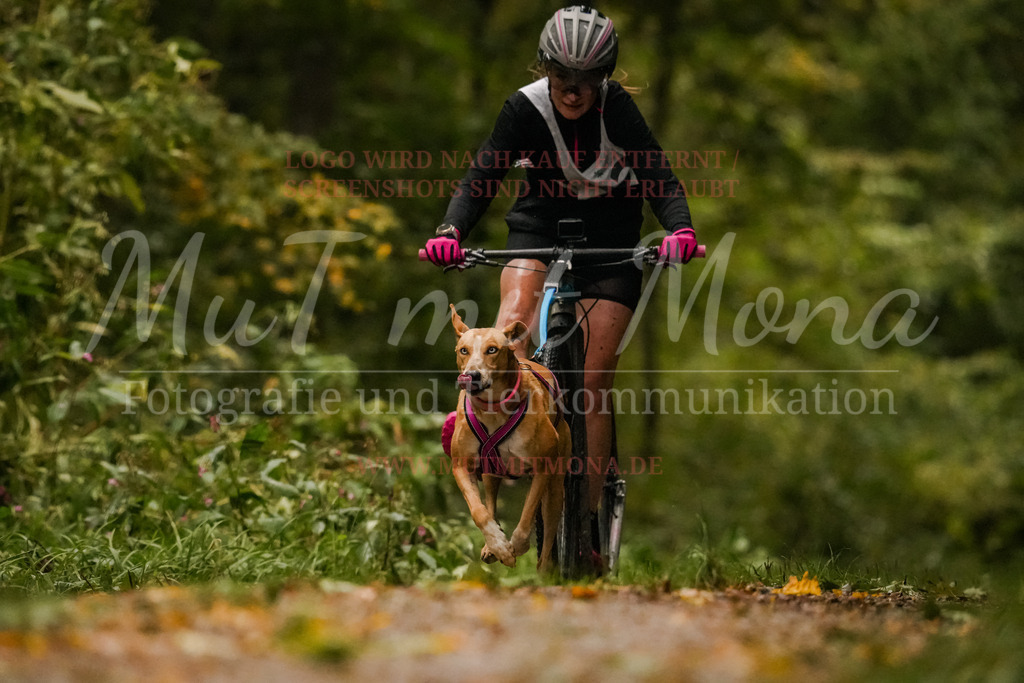 20251005_THS_Turnier-188 | MuT (Mensch und Tier) mit Mona - Fotografie und Tierkommunikation - Realisiert mit Pictrs.com