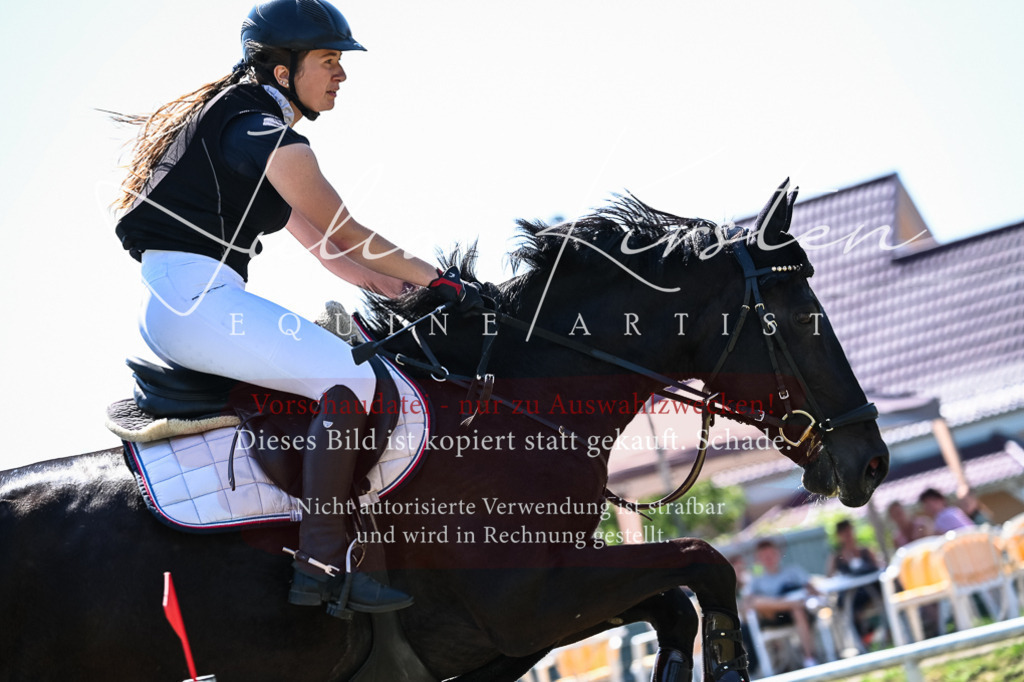DSC_1340 | Pferde- und Turnierfotografie in Westsachsen. Pferdeportraits, Auftragszeichnungen und intuitive Kunst.