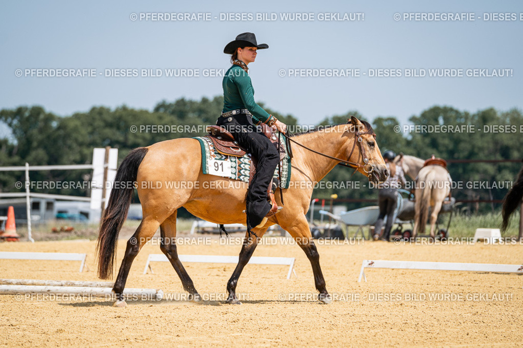 DSC01253 | Pferdegrafie