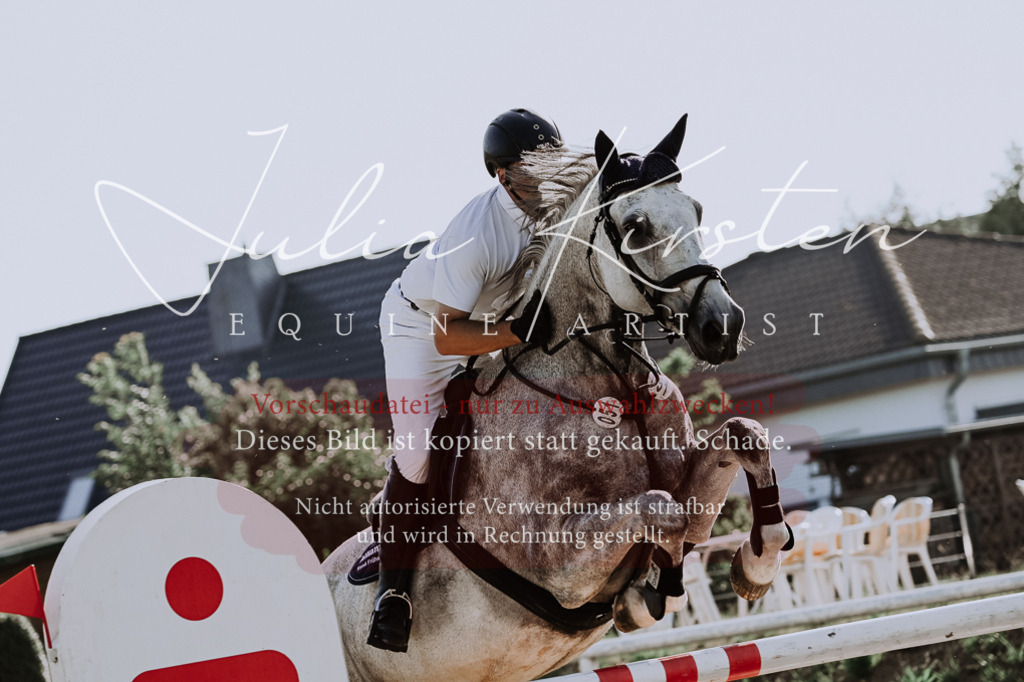 DSC_2813 | Pferde- und Turnierfotografie in Westsachsen. Pferdeportraits, Auftragszeichnungen und intuitive Kunst.